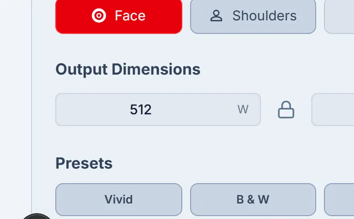 Output dimensions row in Crop Settings with width and height fields.