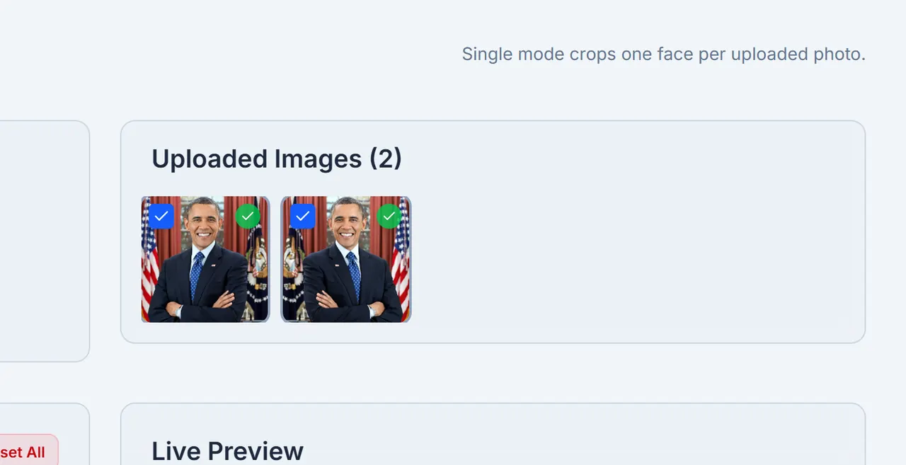 Face Crop Studio image grid with multiple photos loaded for a batch.
