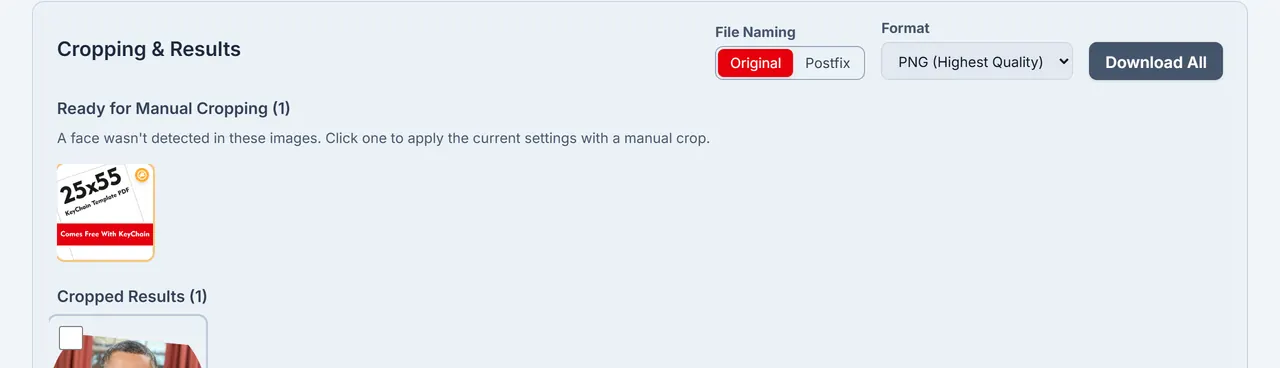 Ready for Manual Cropping section when automatic face detection misses a photo.