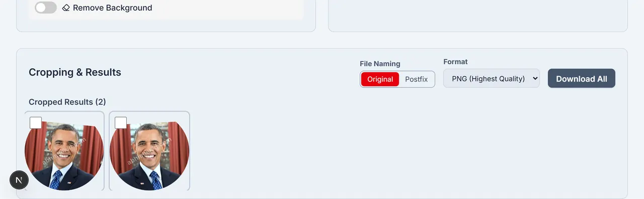 Results download toolbar.
