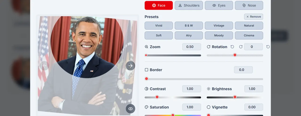 Cropped Results panel with multiple result thumbnails selected.