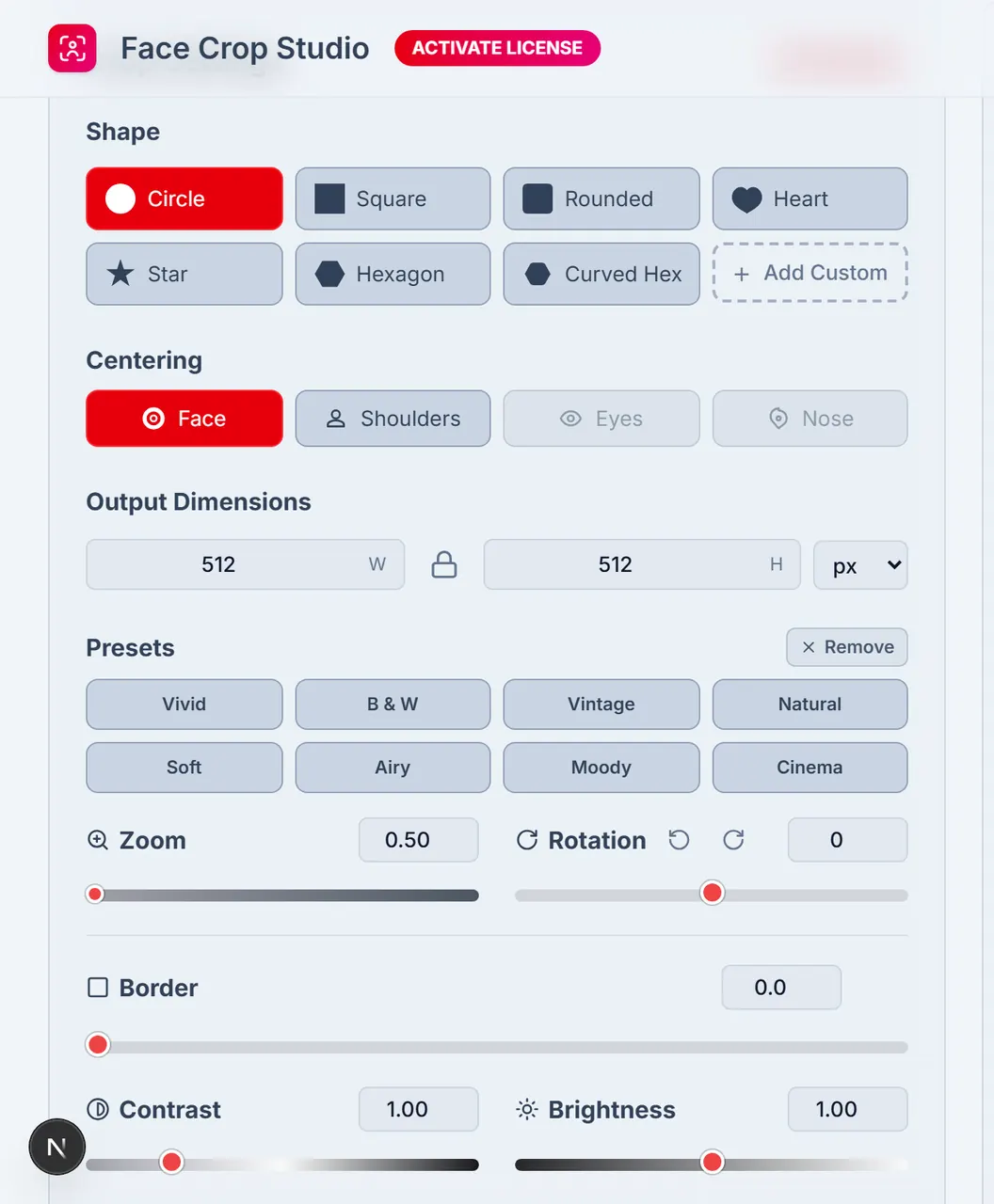 Face Crop Studio Crop Settings panel in the main column of /app.